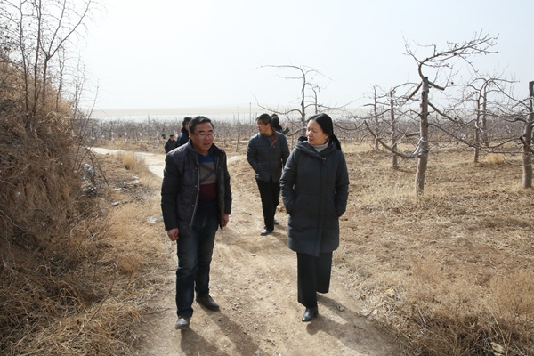 微信图片_20180213150308_小.jpg 微信图片_20180213150308_小.jpg